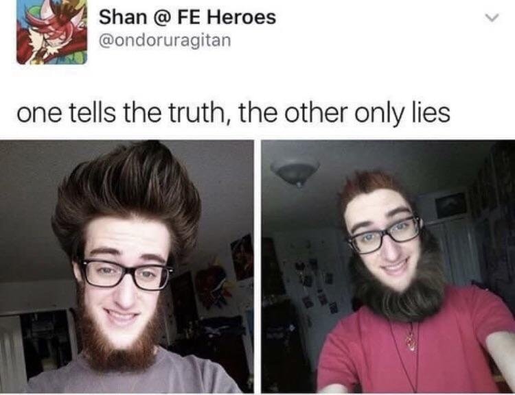 one tells the truth the other lies - Shan @ Fe Heroes one tells the truth, the other only lies