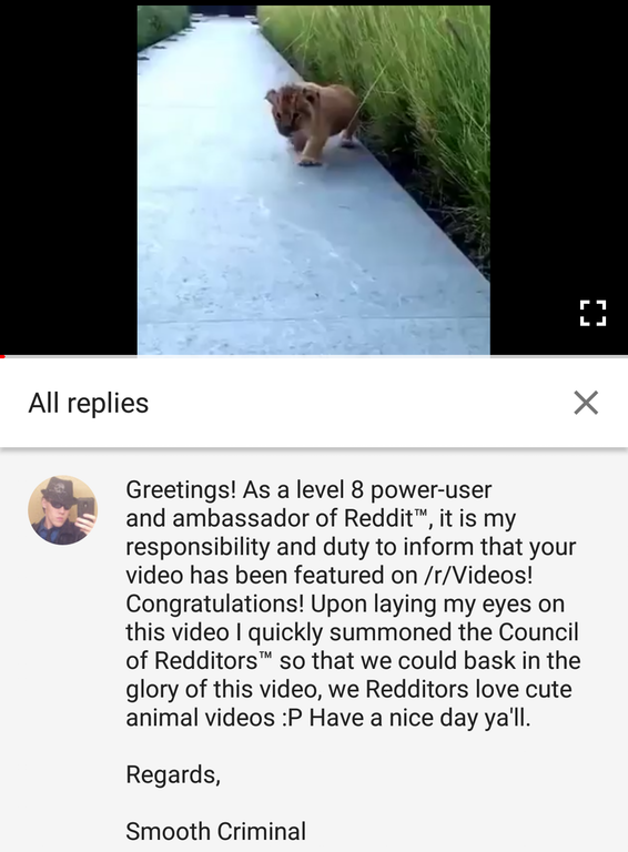 photo caption - L All replies x Greetings! As a level 8 poweruser and ambassador of Reddit, it is my responsibility and duty to inform that your video has been featured on rVideos! Congratulations! Upon laying my eyes on this video I quickly summoned the