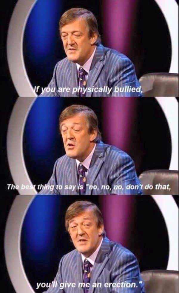 stephen fry bullying - Vf you are physically bullied, The best thing to say Is "no, no, no, don't do that, you'll give me an erection.