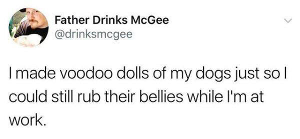 teacher tweet to kill kavanaugh - Father Drinks McGee I made voodoo dolls of my dogs just so | could still rub their bellies while I'm at work.