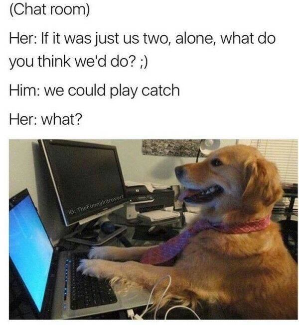 no idea what im doing dog - Chat room Her If it was just us two, alone, what do you think we'd do? Him we could play catch Her what? Ig TheFunnyIntrovert