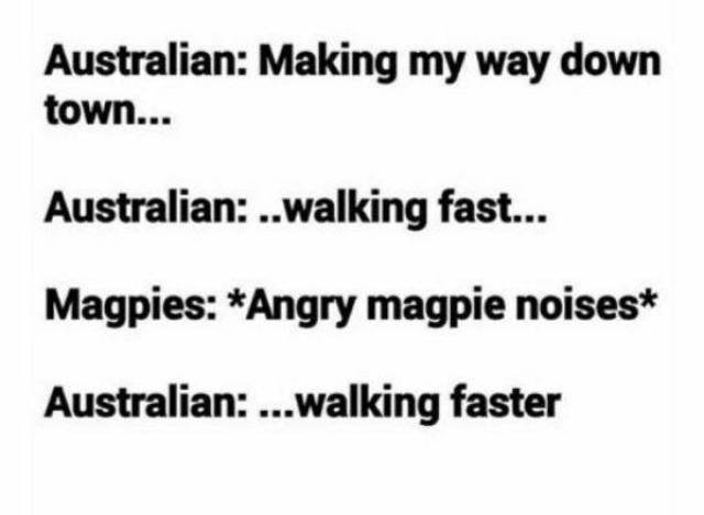 handwriting - Australian Making my way down town... Australian ..walking fast... Magpies Angry magpie noises Australian ...walking faster