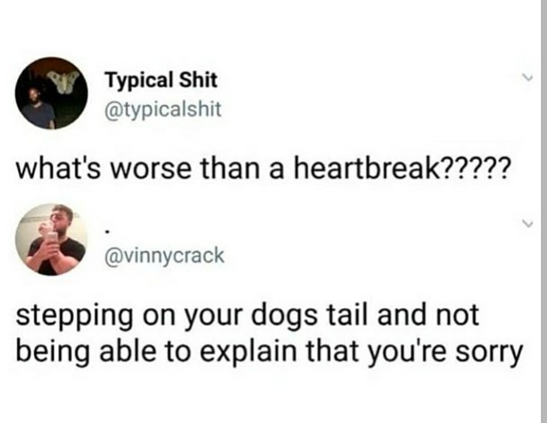 diagram - Typical Shit what's worse than a heartbreak????? stepping on your dogs tail and not being able to explain that you're sorry