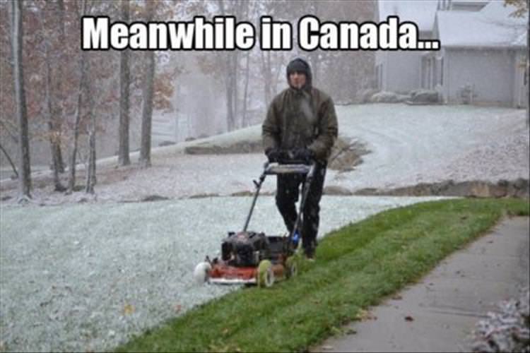 meanwhile in canada meme - Meanwhile in Canada...