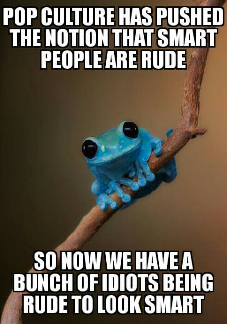 blue cute frogs - Pop Culture Has Pushed The Notion That Smart People Are Rude So Now We Have A Bunch Of Idiots Being Rude To Look Smart