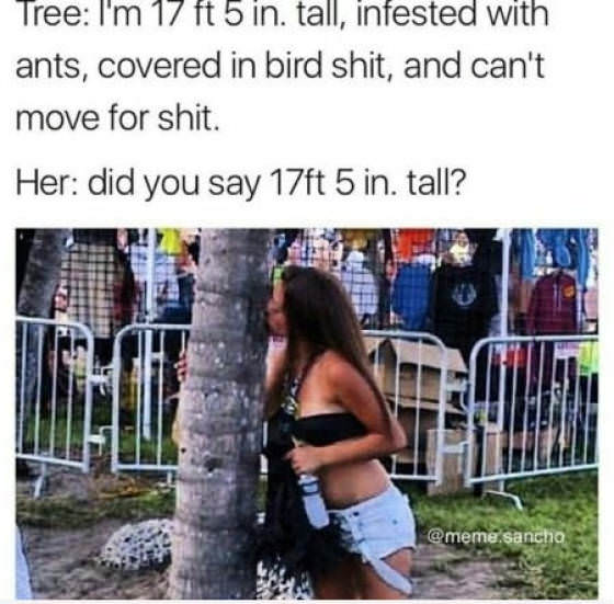 girl - Tree I'm 17 ft 5 in, tall, infested with ants, covered in bird shit, and can't move for shit. Her did you say 17ft 5 in. tall? .sancha