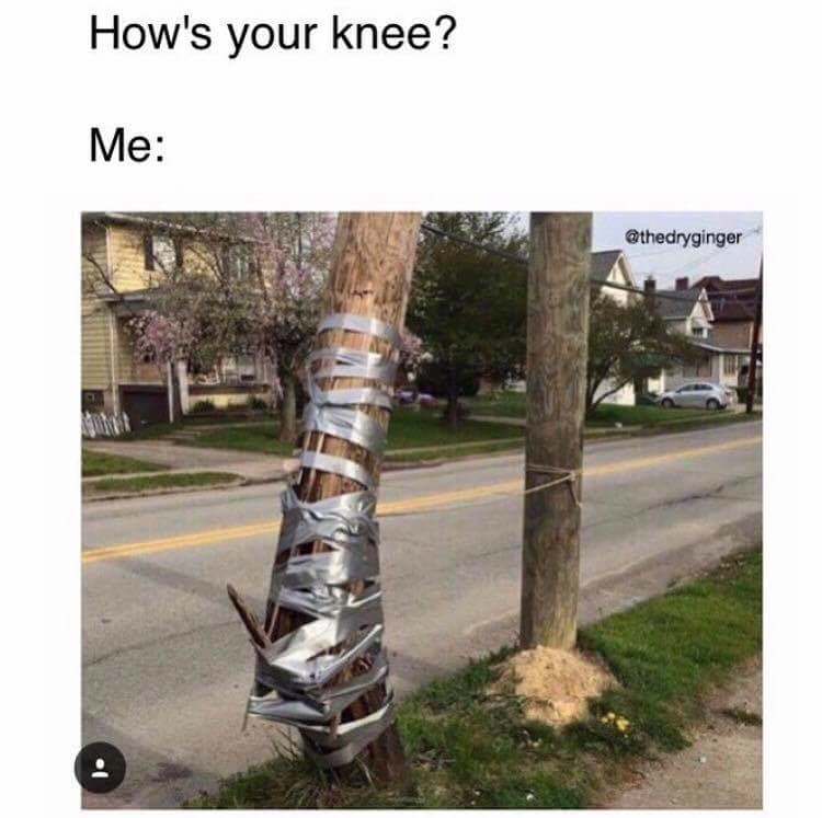hows your knee meme - How's your knee? Me