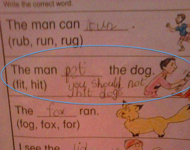 funny test answers - Wilte the correct word The man can rub, run, rug . The man 02 the dog. fit, hit you should not Thit dogs The fox ran. fog, fox, for I see the lid