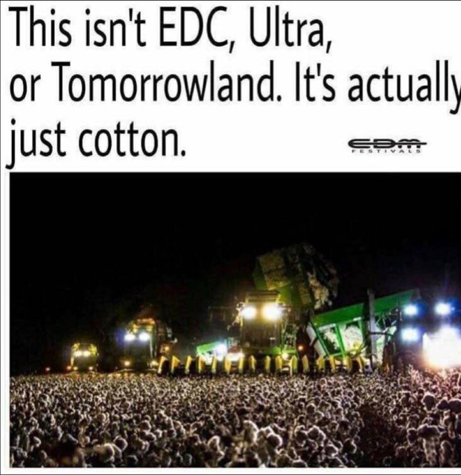 cotton picker at night - This isn't Edc, Ultra, or Tomorrowland. It's actually just cotton.