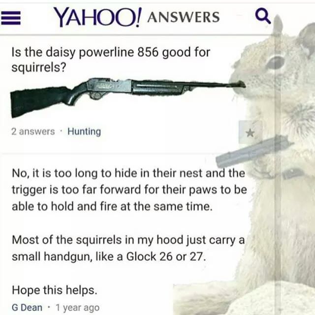 she's too young for you - Yahoo! Answers Is the daisy powerline 856 good for squirrels? 2 answers. Hunting No, it is too long to hide in their nest and the trigger is too far forward for their paws to be able to hold and fire at the same time. Most of the