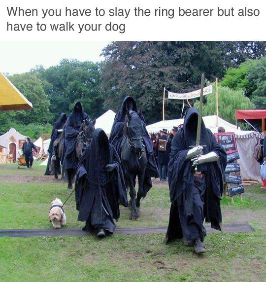 nazgul dog - When you have to slay the ring bearer but also have to walk your dog