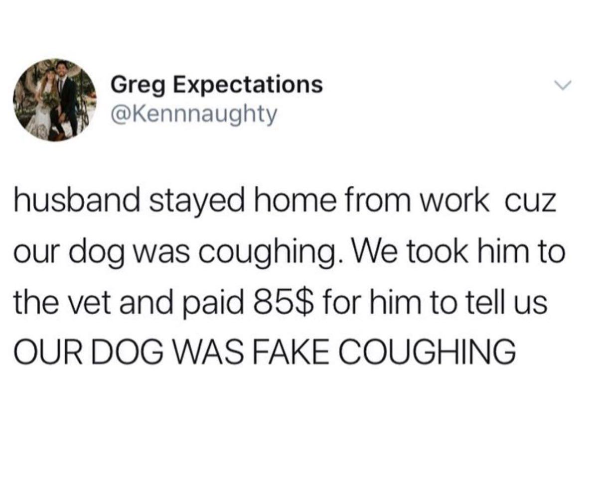 universe will send you exactly what you asked for - Greg Expectations husband stayed home from work cuz our dog was coughing. We took him to the vet and paid 85$ for him to tell us Our Dog Was Fake Coughing