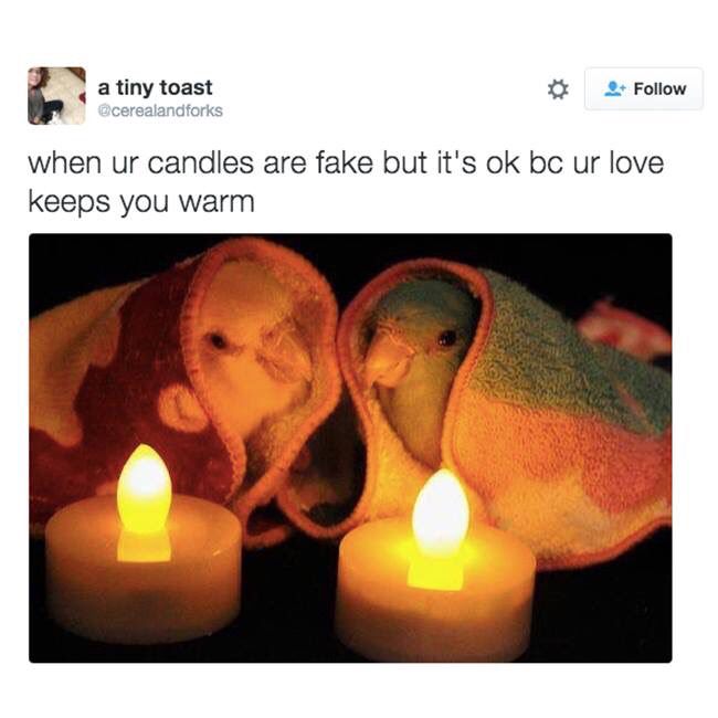 your candles are fake but your love keeps you warm - a tiny toast when ur candles are fake but it's ok bc ur love keeps you warm