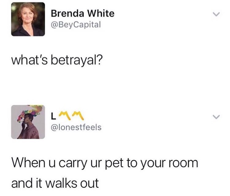 you carry your dog - Brenda White Capital Brenda White what's betrayal? When u carry ur pet to your room and it walks out