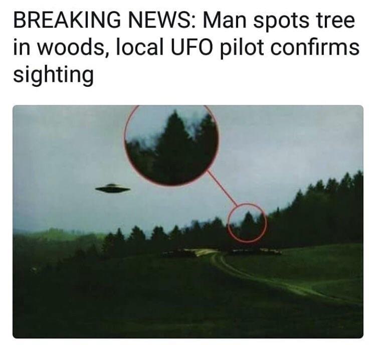 crazy shit meme - Breaking News Man spots tree in woods, local Ufo pilot confirms sighting