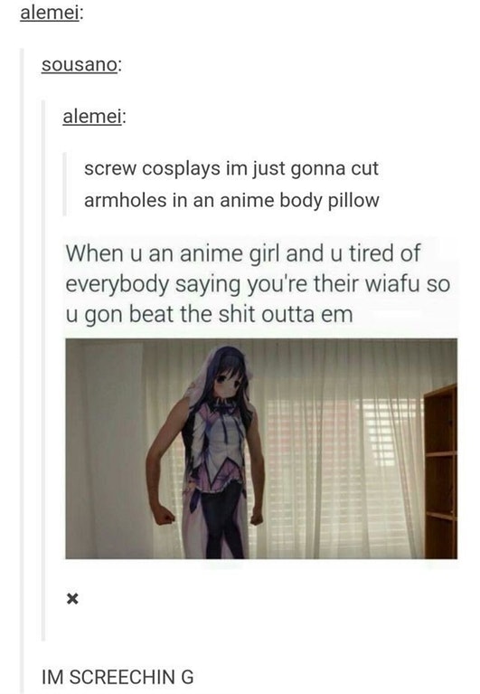 cringe funny anime posts - alemei sousano alemei screw cosplays im just gonna cut armholes in an anime body pillow When u an anime girl and u tired of everybody saying you're their wiafu so u gon beat the shit outta em Im Screeching