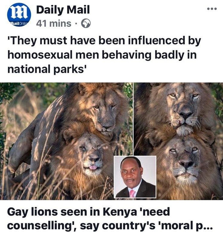 cringe gay lions kenya - MailOnline m Daily Mail 41 mins. 'They must have been influenced by homosexual men behaving badly in national parks' Gay lions seen in Kenya 'need counselling', say country's 'moral p...