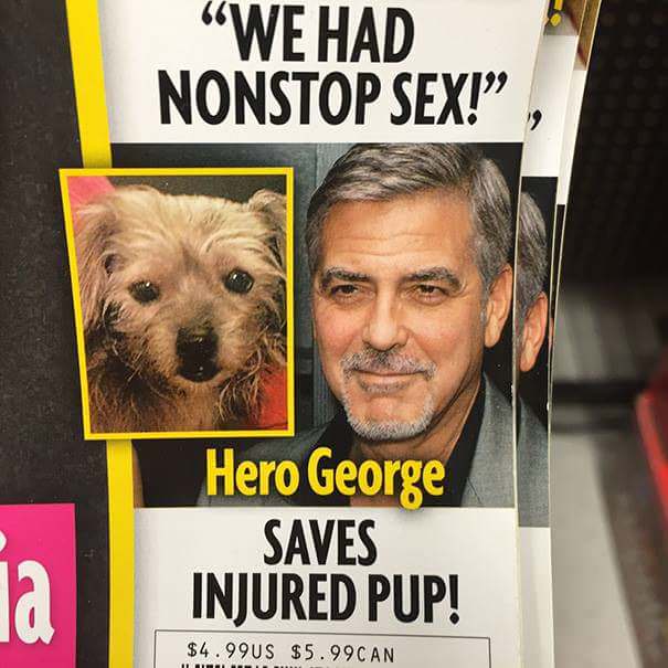 we had nonstop sex hero george - We Had Nonstop Sex! Hero George Saves Injured Pup! $4.99US $5.99 Can