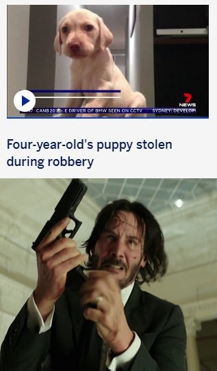 nestle meme - Canb 20% E Driver Of Bmw Seen On Cctv Sydney Develop Fouryearold's puppy stolen during robbery