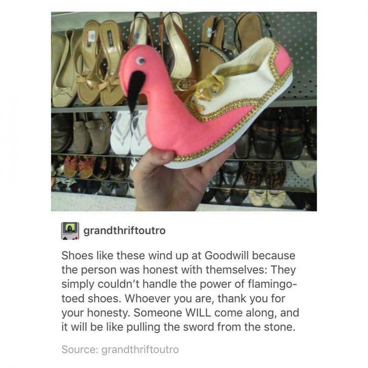 shoe - A grandthriftoutro Shoes these wind up at Goodwill because the person was honest with themselves They simply couldn't handle the power of flamingo toed shoes. Whoever you are, thank you for your honesty. Someone Will come along, and it will be pull