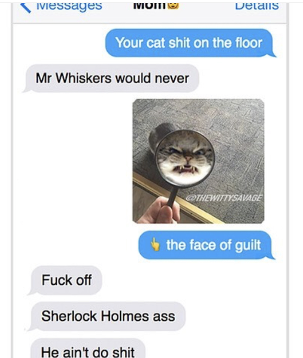 photo caption - Messages Iviomi Detalls Your cat shit on the floor Mr Whiskers would never Thewittysavage the face of guilt Fuck off Sherlock Holmes ass He ain't do shit