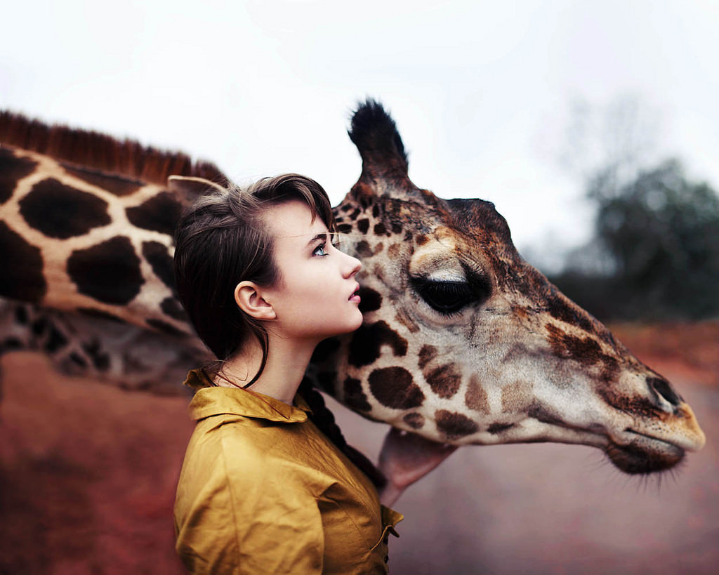 girl with giraffe