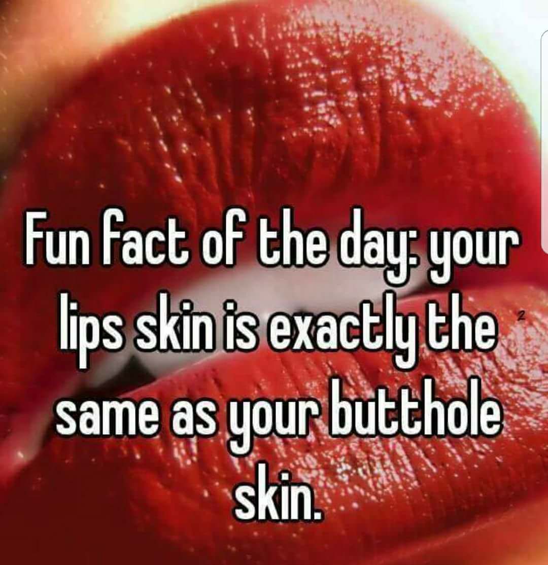 skin in your lips is the same - Fun fact of the day, your lips skin is exactly the same as your butthole skin