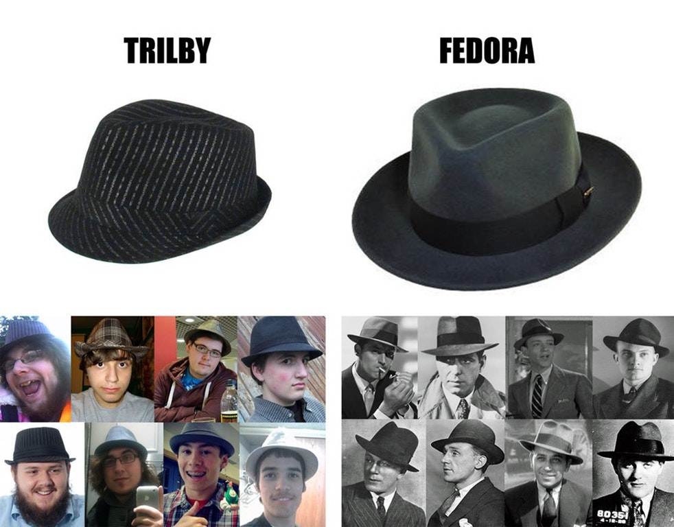difference between fedora and trilby - Trilby Fedora 8035