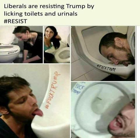 licking toilet - Liberals are resisting Trump by licking toilets and urinals Mfuktem Rome