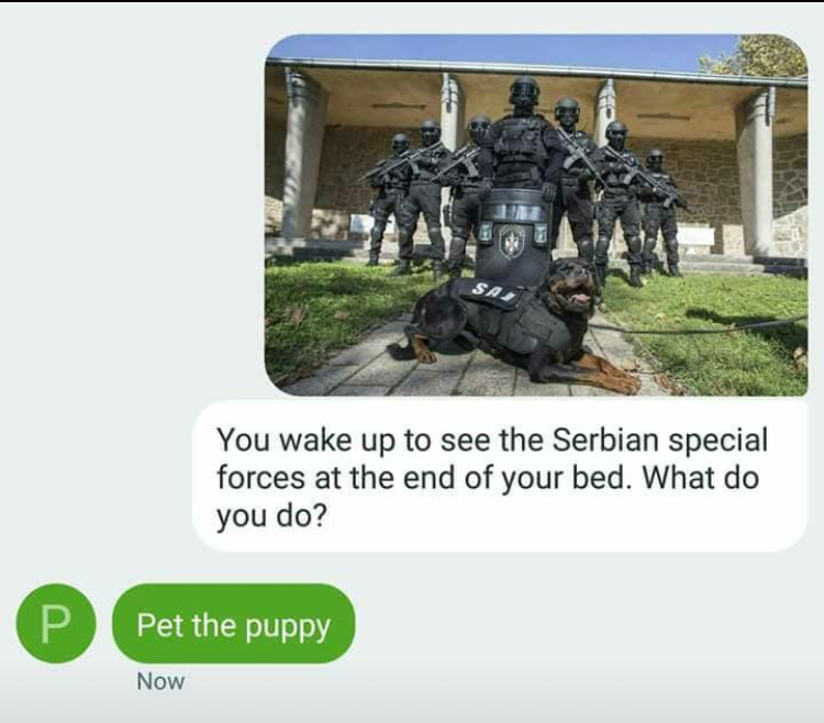 serbian anti terrorist unit - You wake up to see the Serbian special forces at the end of your bed. What do you do? Pet the puppy Pete pupp Now