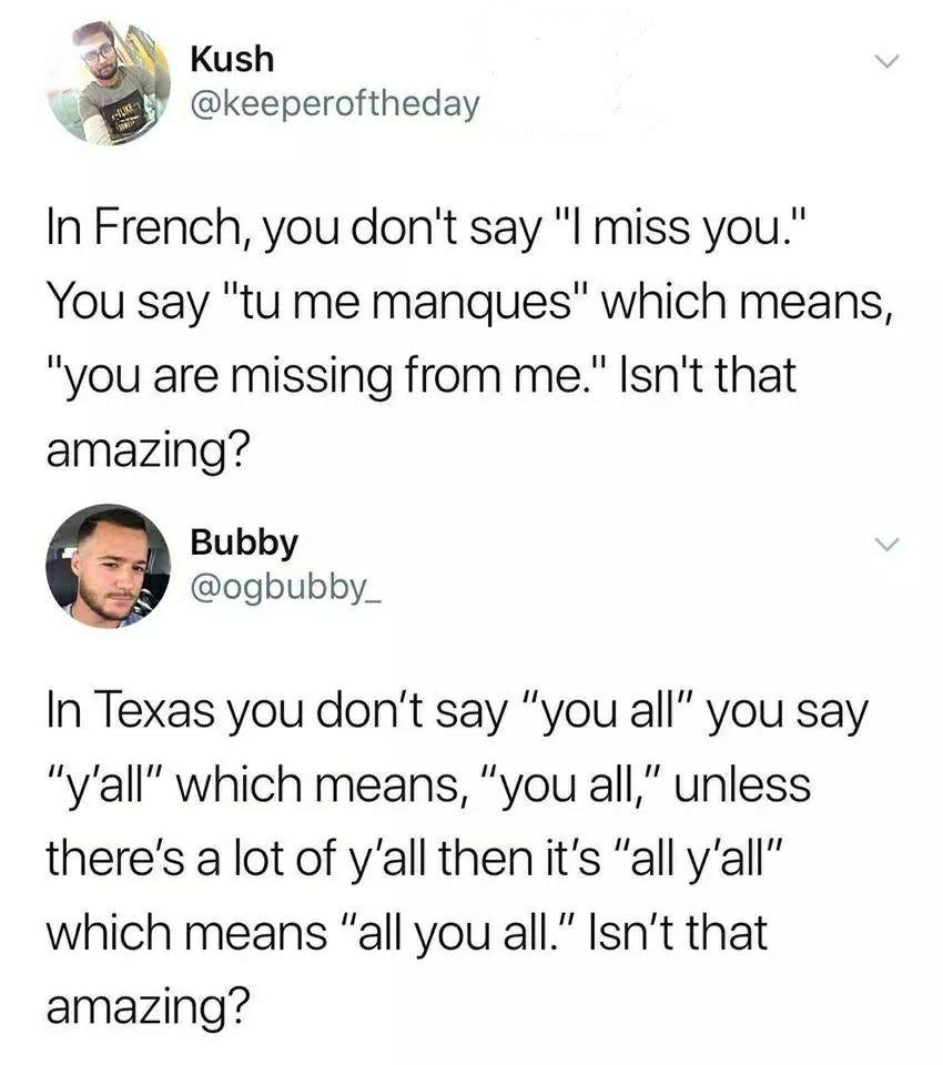 Tweet about the nuances of the French language countered with some mundane Texas slang explained in the same tone