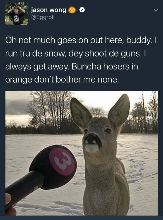 funny meme of deer with mustache being interviewed on TV