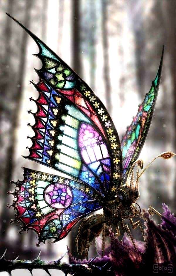 beautiful picture of a transparent butterfly
