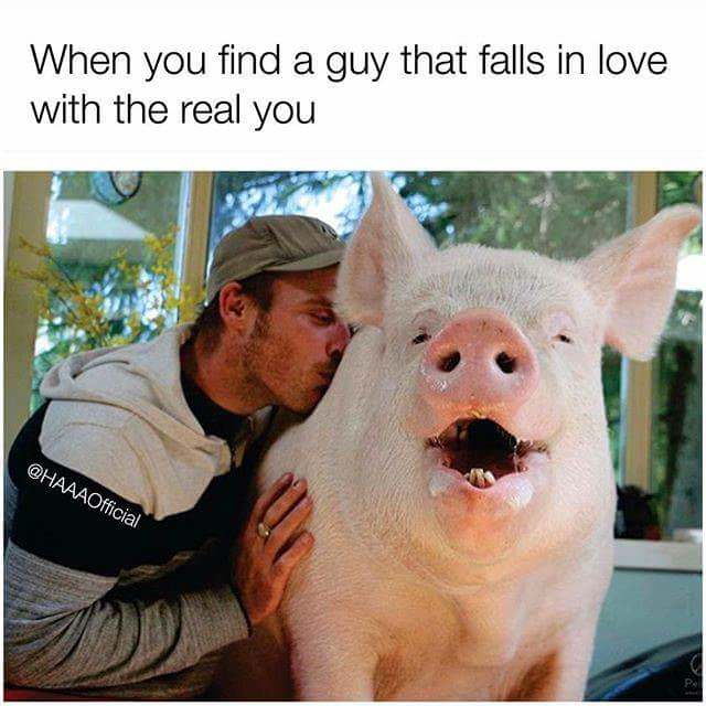 glutton meme - When you find a guy that falls in love with the real you
