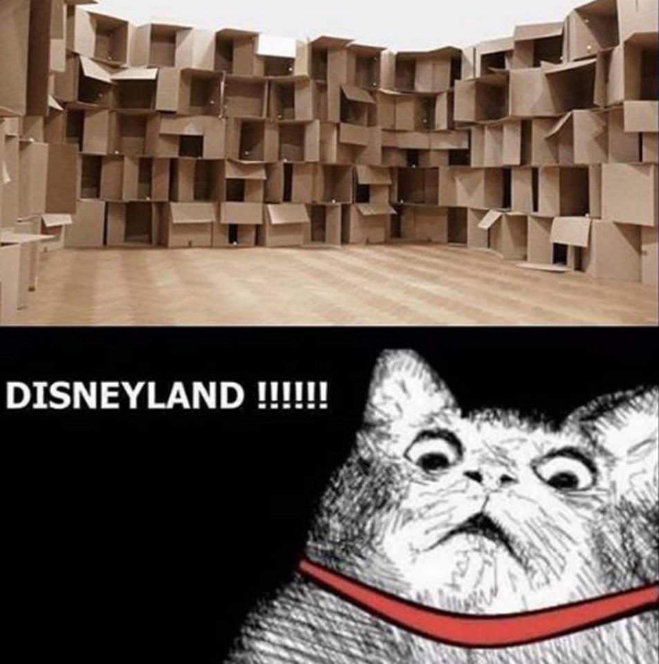 cat disneyland meme - Disneyland !!!!!!