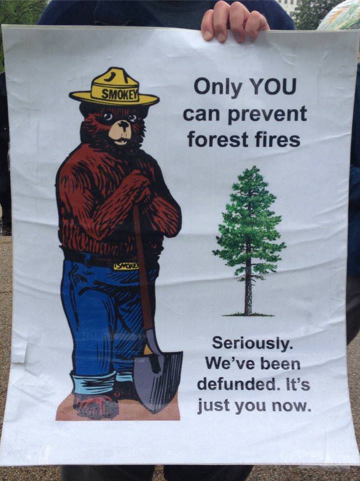 smokey the bear - Smokey Only You can prevent forest fires Usmoke Seriously. We've been defunded. It's just you now.