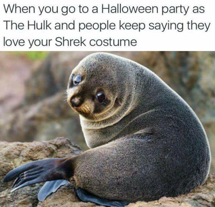 you got to a halloween party - When you go to a Halloween party as The Hulk and people keep saying they love your Shrek costume
