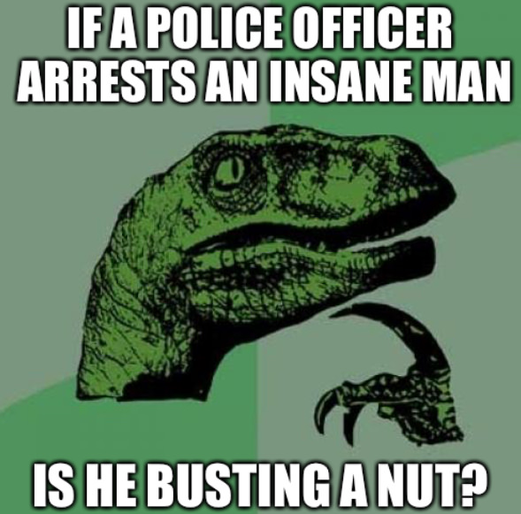 funny question - If A Police Officer Arrests An Insane Man Is He Busting A Nut?