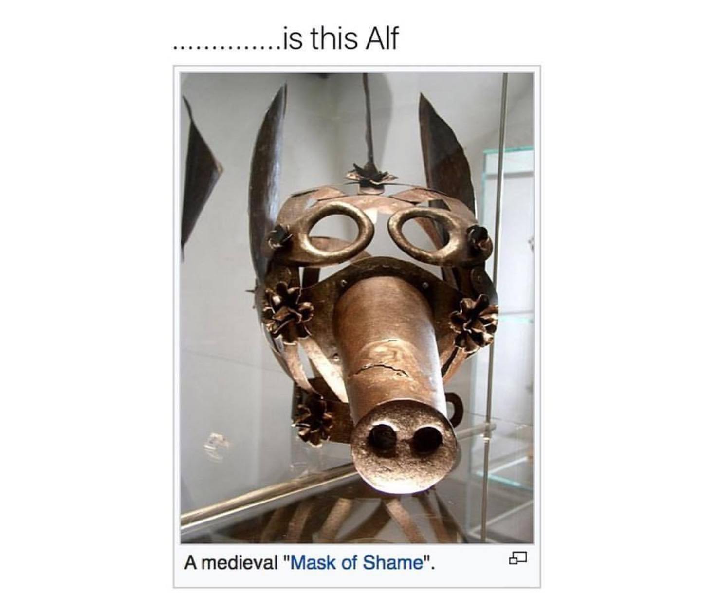 shame mask - is this Alf A medieval "Mask of Shame".