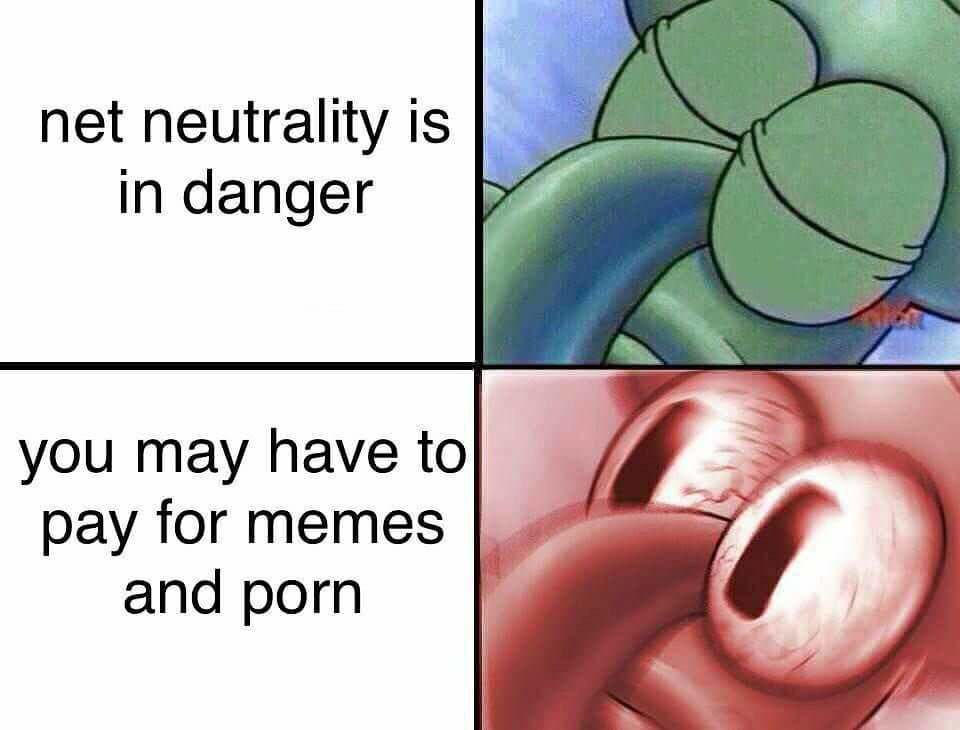 woke meme - net neutrality is in danger you may have to pay for memes and porn