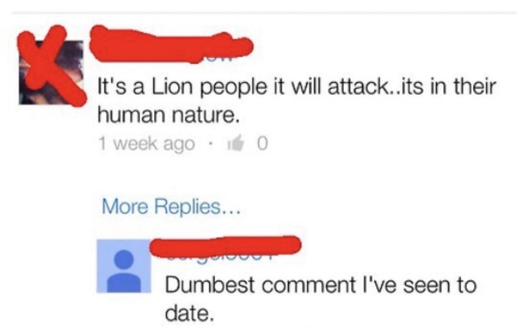 stupid people posts - It's a Lion people it will attack..its in their human nature. 1 week ago ito More Replies... Dumbest comment I've seen to date.