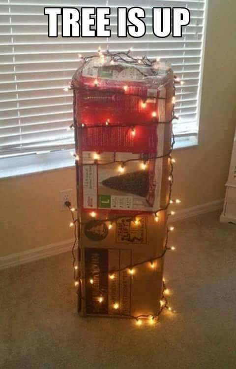 christmas tree box with lights - Tree Is Up Eeeeeee