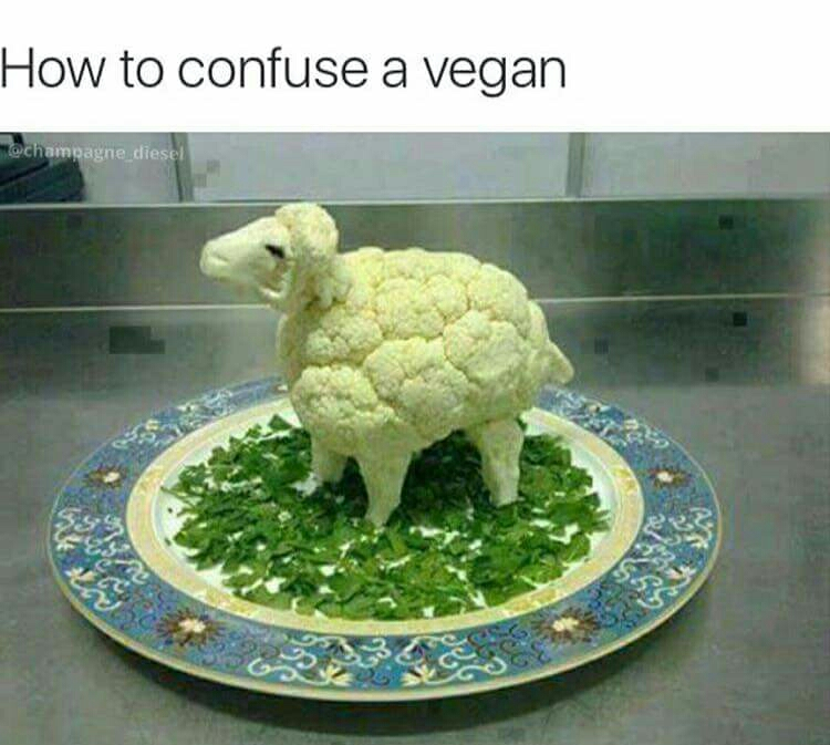 cauliflower lamb - How to confuse a vegan wchampagne diesel 2 Lg