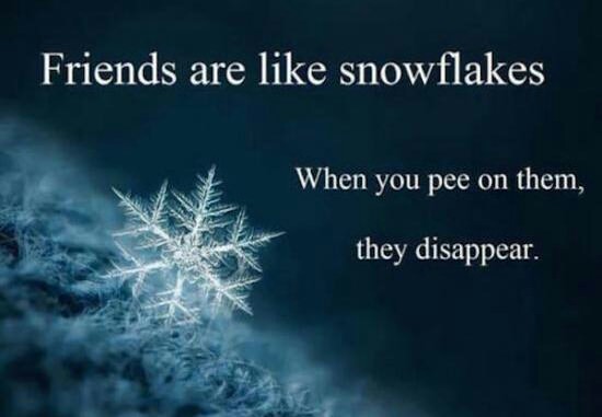 deep thought of the day - Friends are snowflakes When you pee on them, they disappear