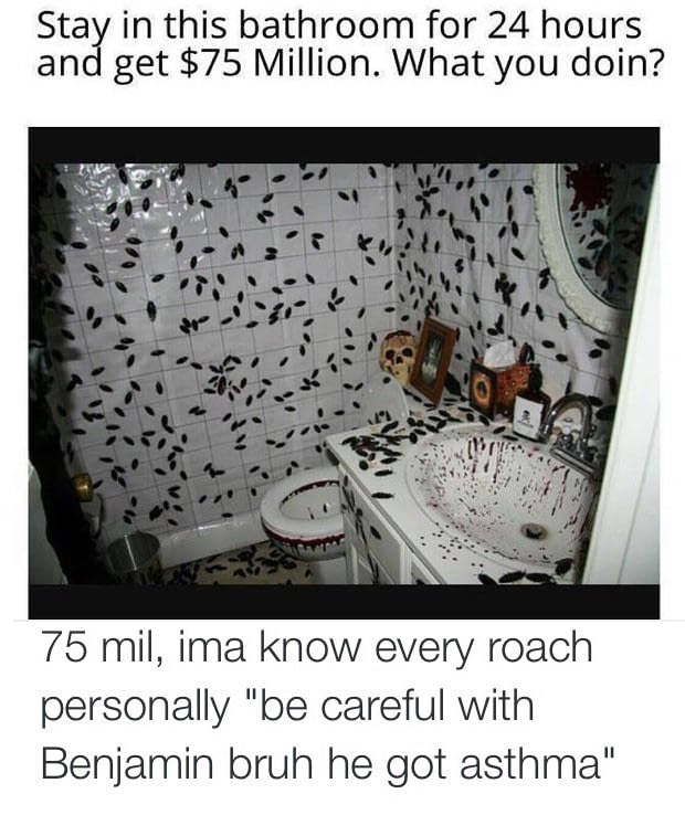 room full of cockroaches - Stay in this bathroom for 24 hours and get $75 Million. What you doin? 75 mil, ima know every roach personally "be careful with Benjamin bruh he got asthma"