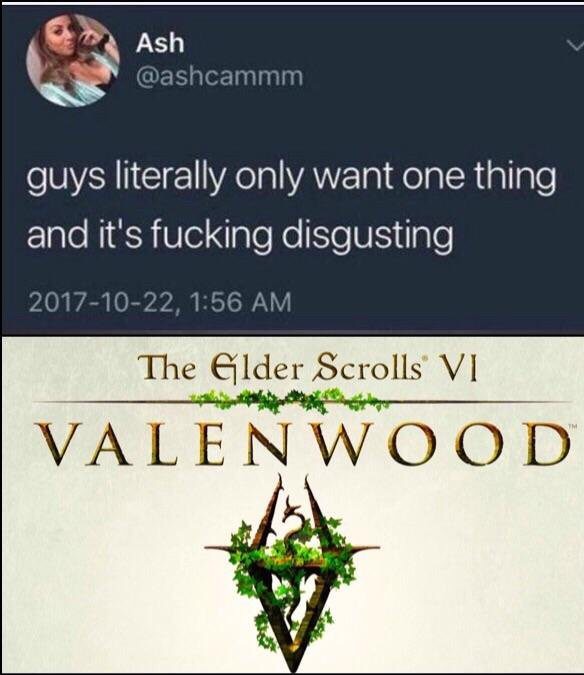 elder scrolls 6 valenwood - Ash guys literally only want one thing and it's fucking disgusting , The Elder Scrolls Vi Valenwood