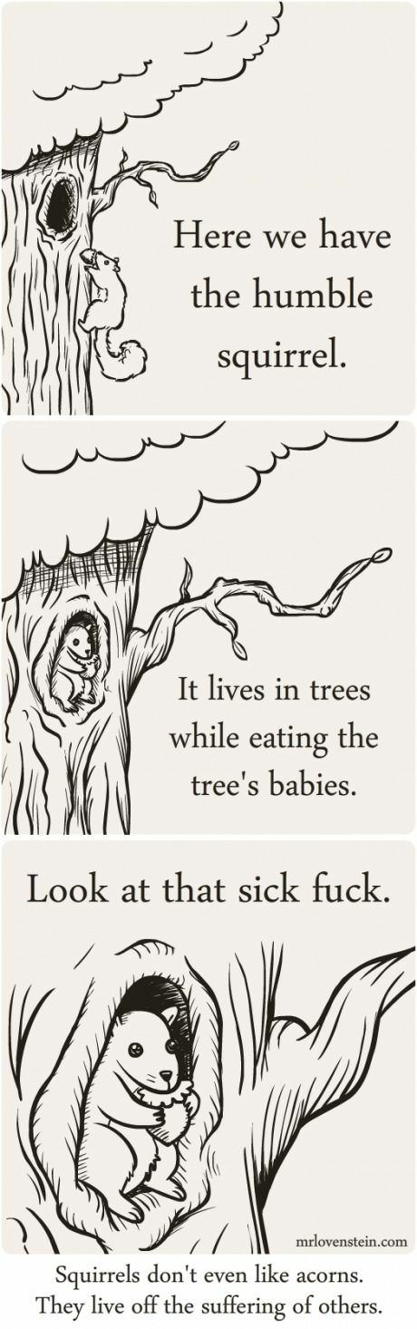 here we have the humble squirrel - Here we have the humble squirrel. It lives in trees while eating the tree's babies. Look at that sick fuck. mrlovenstein.com Squirrels don't even acorns. They live off the suffering of others.