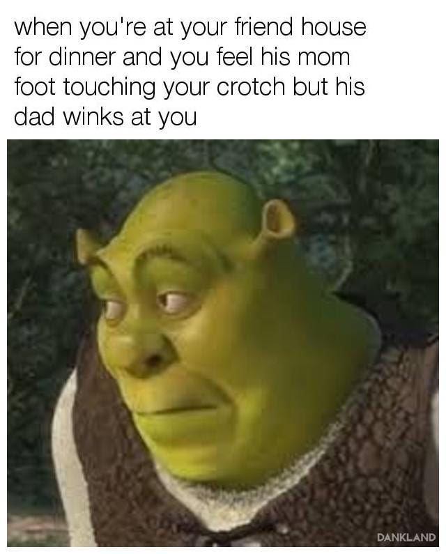 memes - shrek meme - when you're at your friend house for dinner and you feel his mom foot touching your crotch but his dad winks at you Dankland