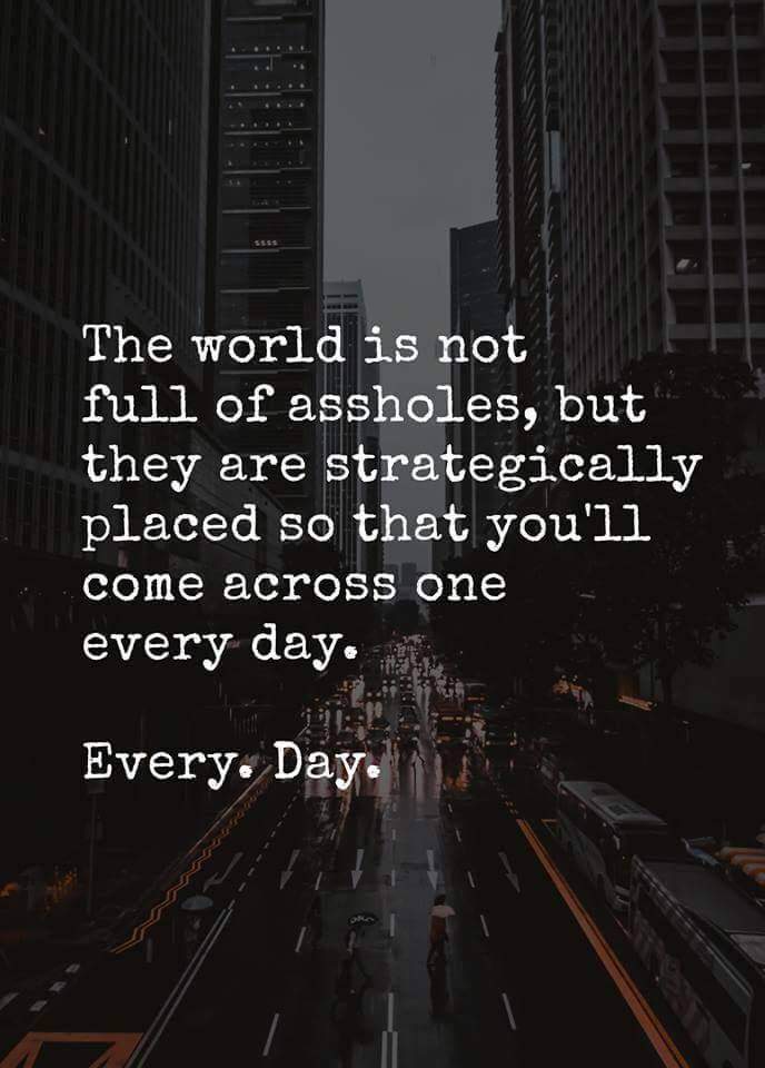 memes - world is not full of assholes - The world is not full of assholes, but they are strategically placed so that you'll come across one every day. Every. Day.