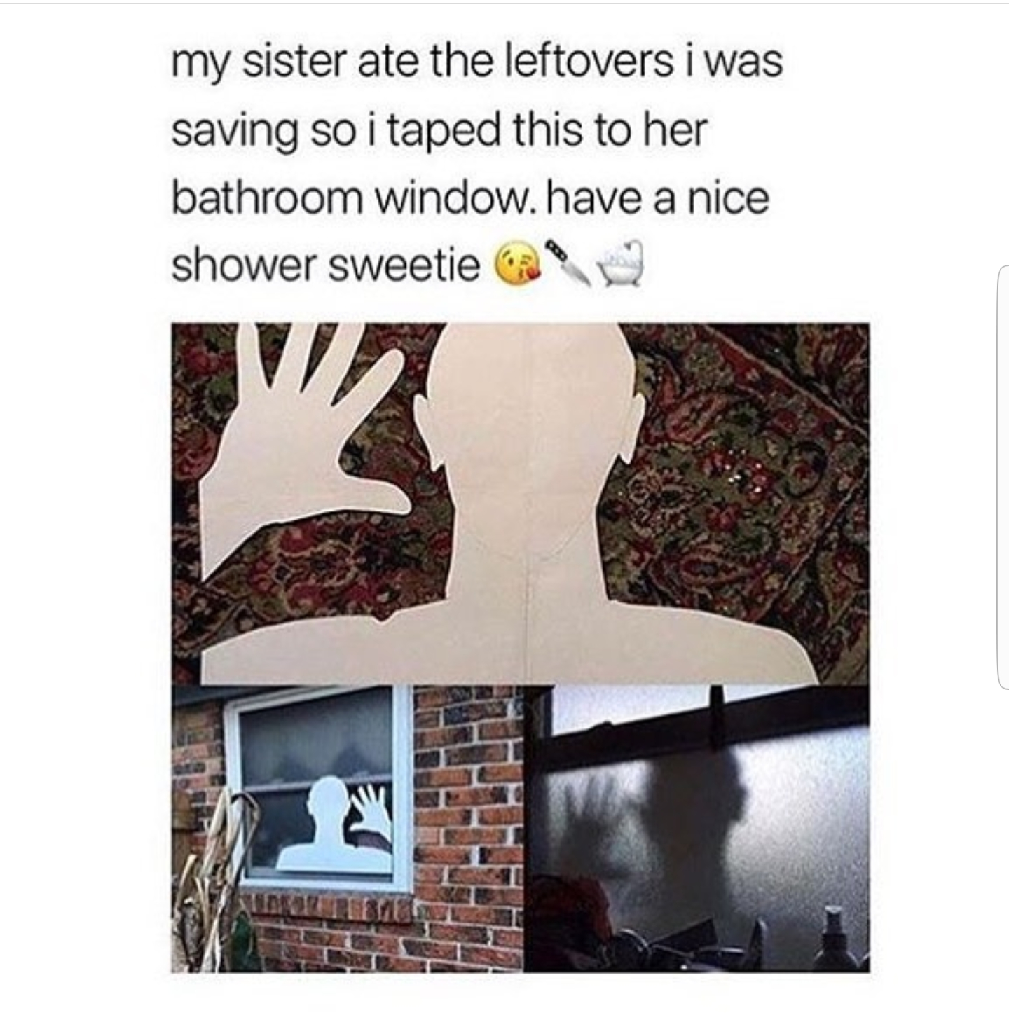 memes - funny sibling rivalry memes - my sister ate the leftovers i was saving so i taped this to her bathroom window. have a nice shower sweetie